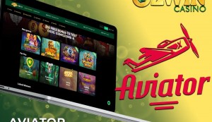 What’s the first thing you notice when you try the Ozwin Casino Australia login?
