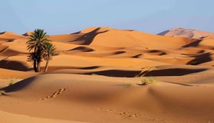 Deciding Where to Play: Jokabet or Another Platform?